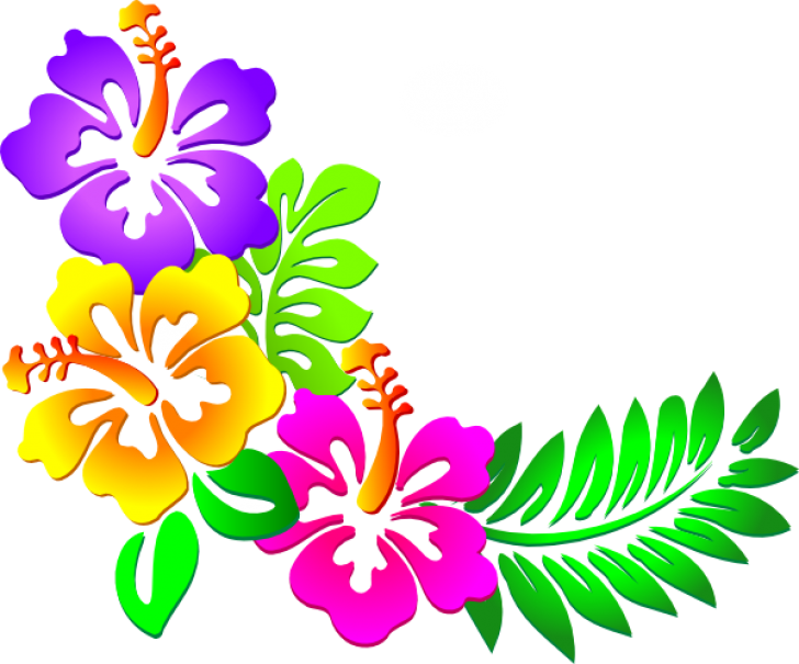 Colorful Hawaiian Flower Arrangement PNG