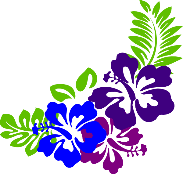 Colorful Hawaiian Flower Graphic PNG