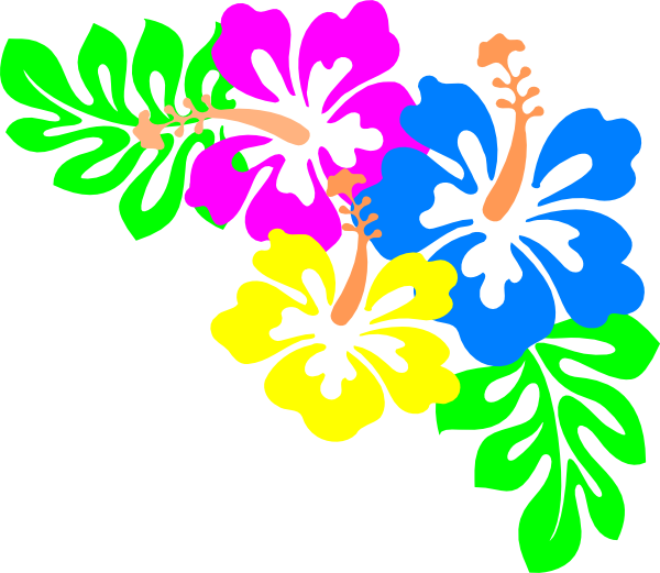 Colorful Hawaiian Flowers Illustration PNG