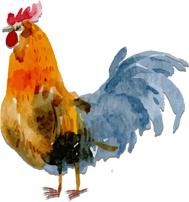 Colorful Hen Illustration PNG