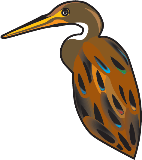 Colorful Heron Illustration PNG