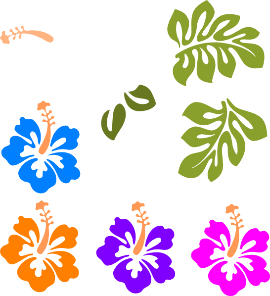 Colorful Hibiscus Flower Outlines PNG