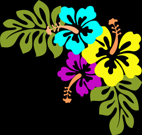 Colorful Hibiscus Vector Floral Design PNG