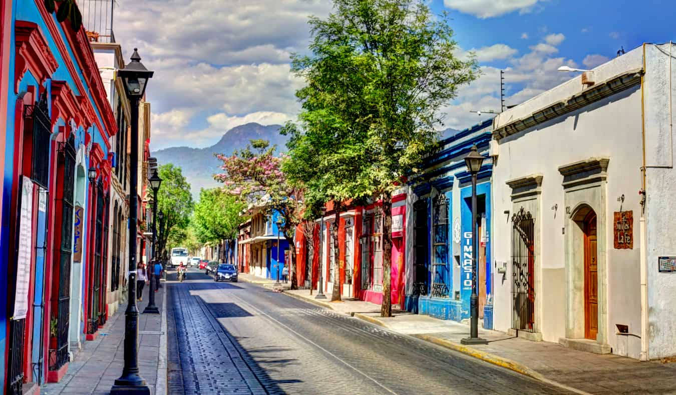 Colorful Houses In Oaxaca Picture