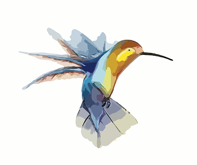 Colorful Hummingbird Illustration PNG