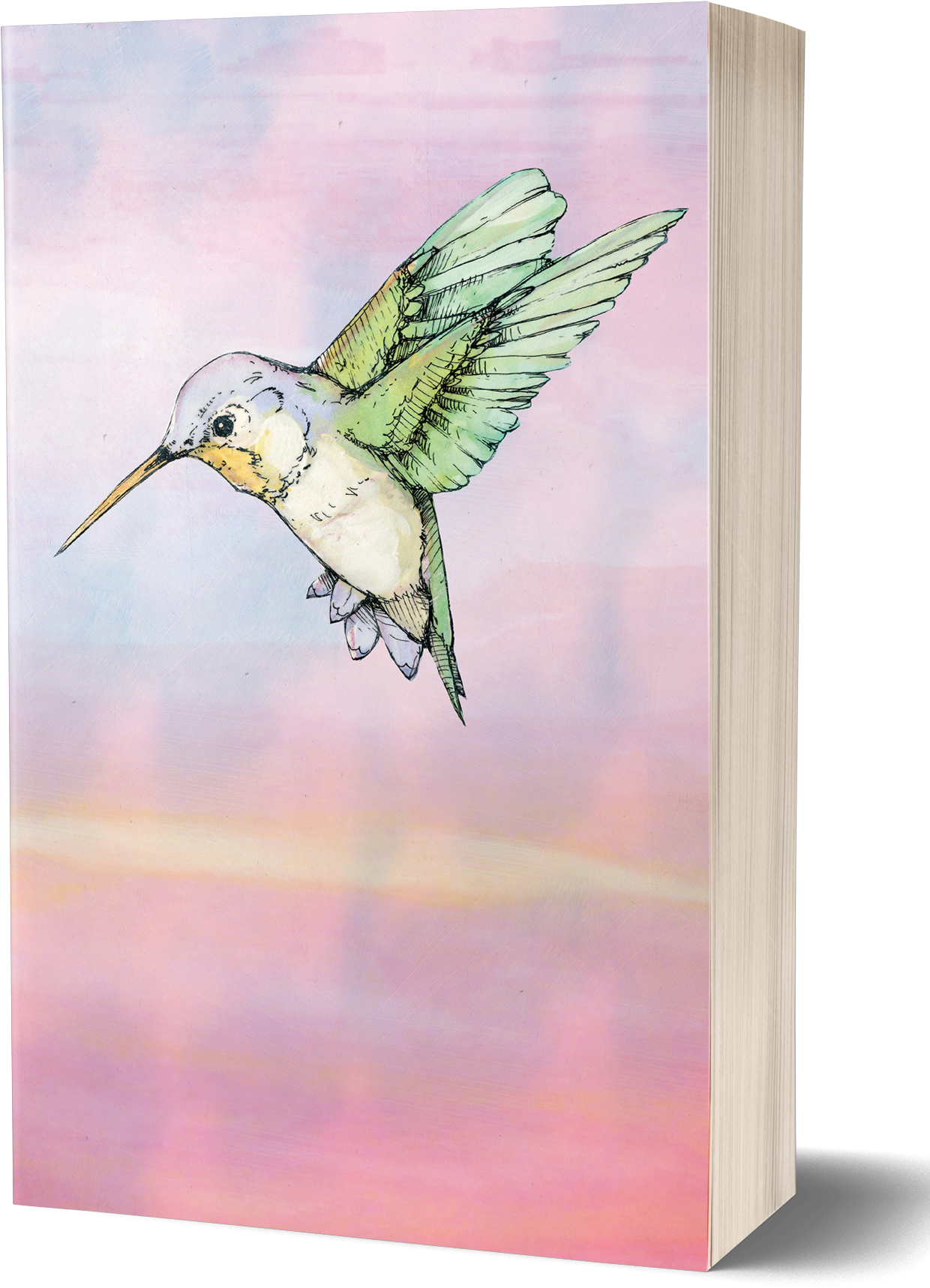 Colorful Hummingbird Illustration PNG