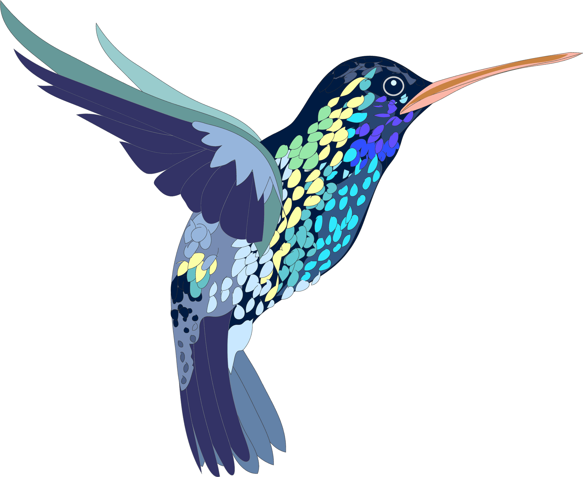 Colorful Hummingbird Illustration PNG