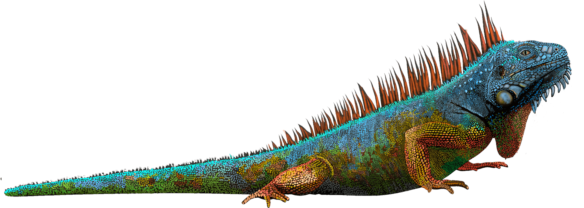 Colorful Iguana Profile PNG