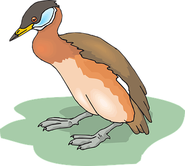 Colorful Illustrated Bird PNG