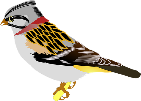 Colorful_ Illustrated_ Bird PNG
