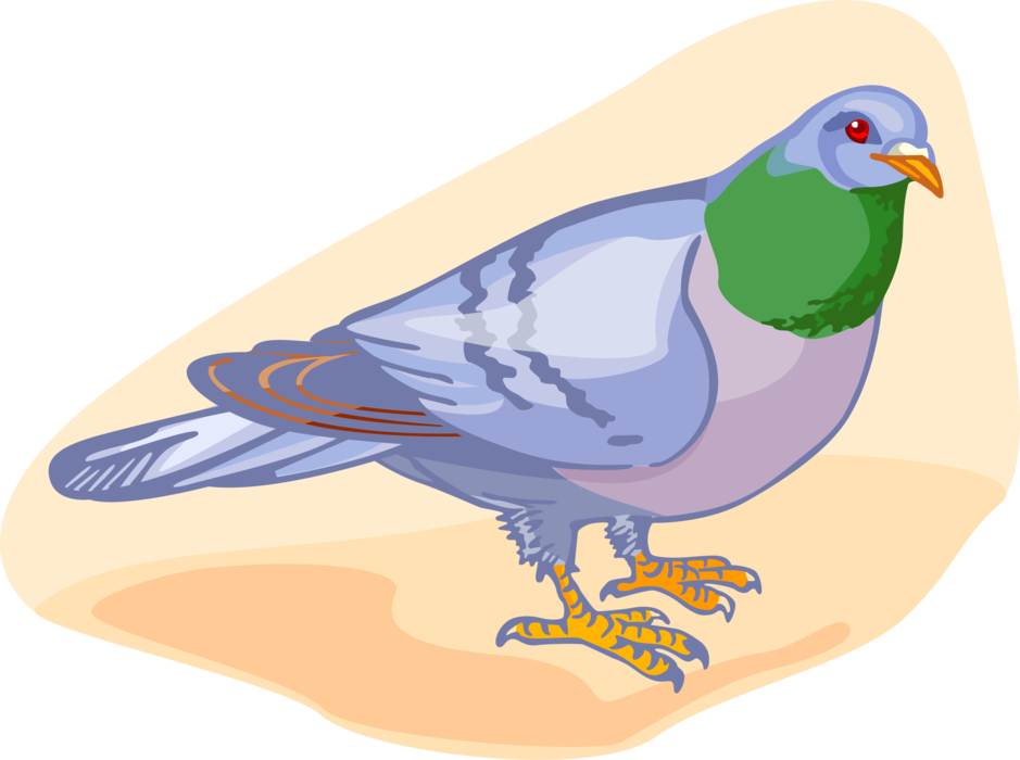 Download Colorful Illustrated Pigeon | Wallpapers.com