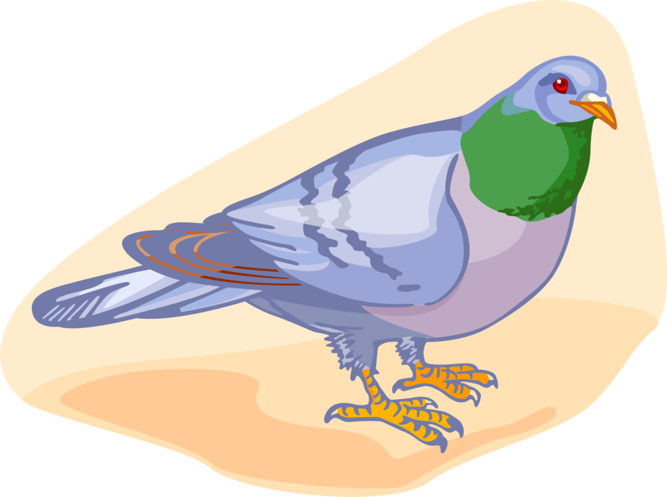 Colorful Illustrated Pigeon PNG