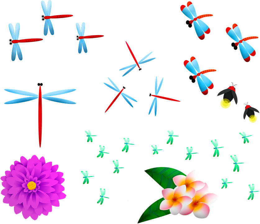 Colorful Insectsand Flowers Illustration PNG