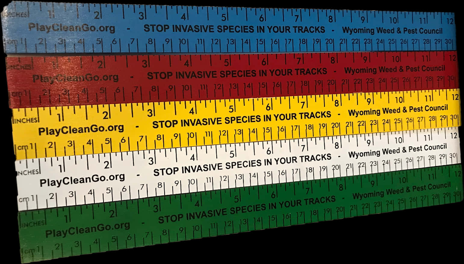 Download Colorful Invasive Species Awareness Rulers | Wallpapers.com