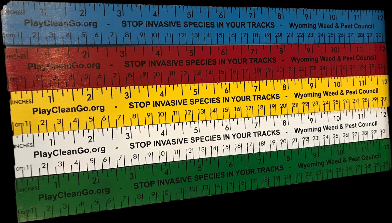Colorful Invasive Species Awareness Rulers PNG