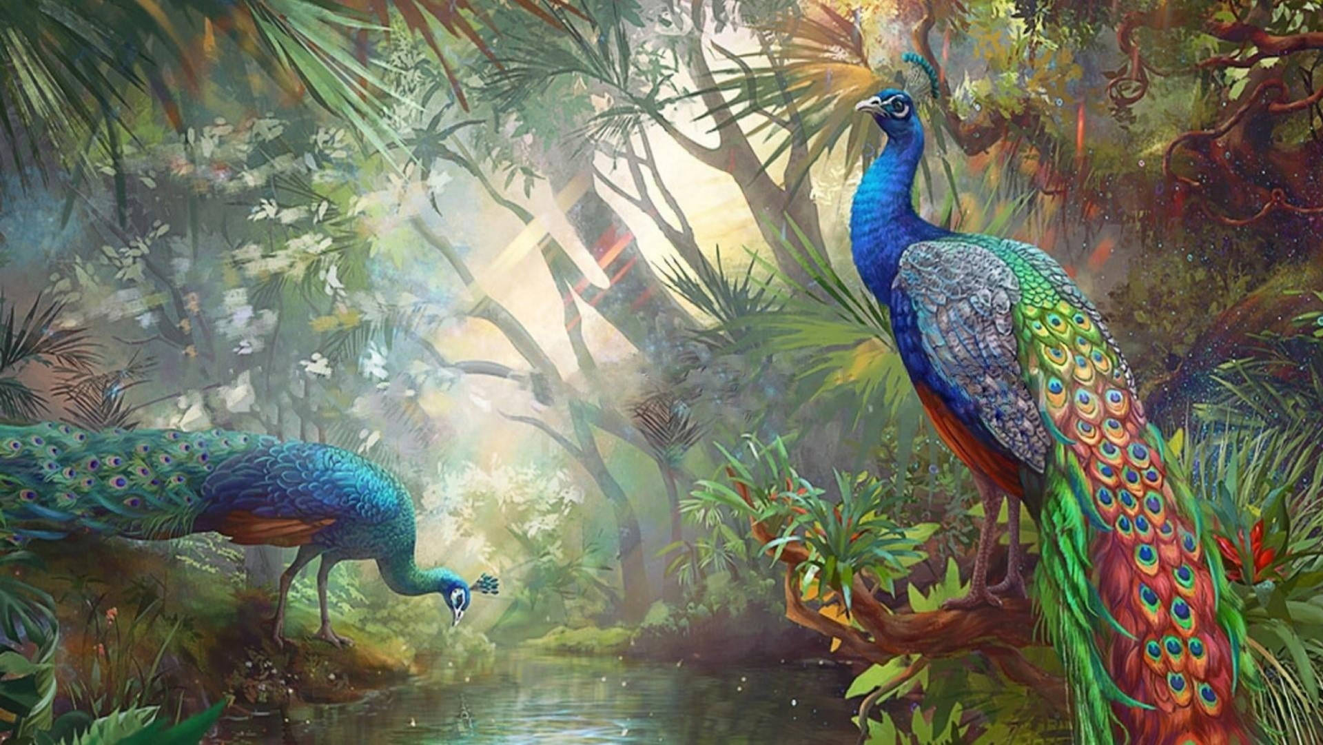 Farverige Jungle Peacocks Wallpaper