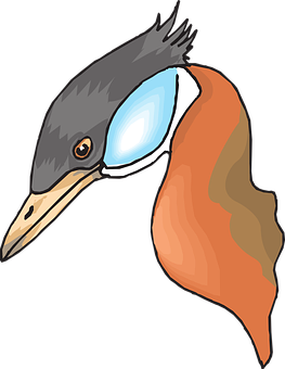 Colorful Kingfisher Illustration PNG