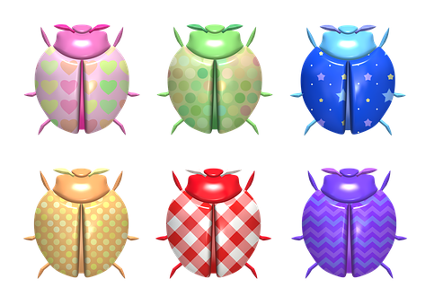 Colorful Ladybug Collection PNG