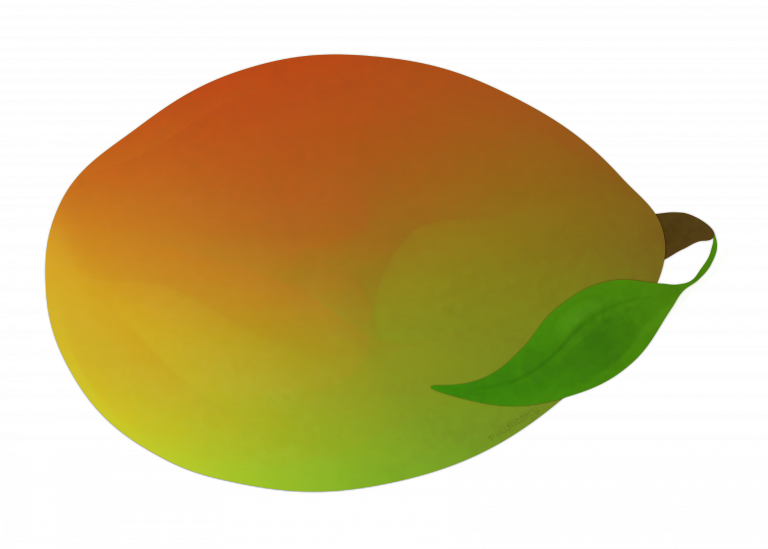 Colorful Mango Illustration PNG
