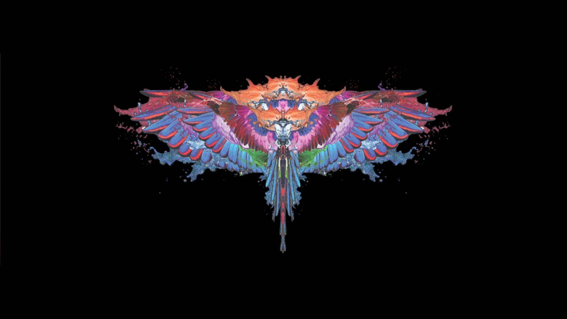 Colorful Marcelo Burlon Wings Design Wallpaper