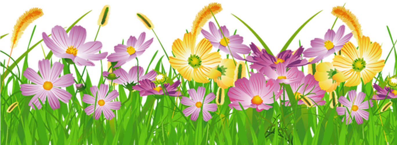 Colorful Meadow Flowers PNG