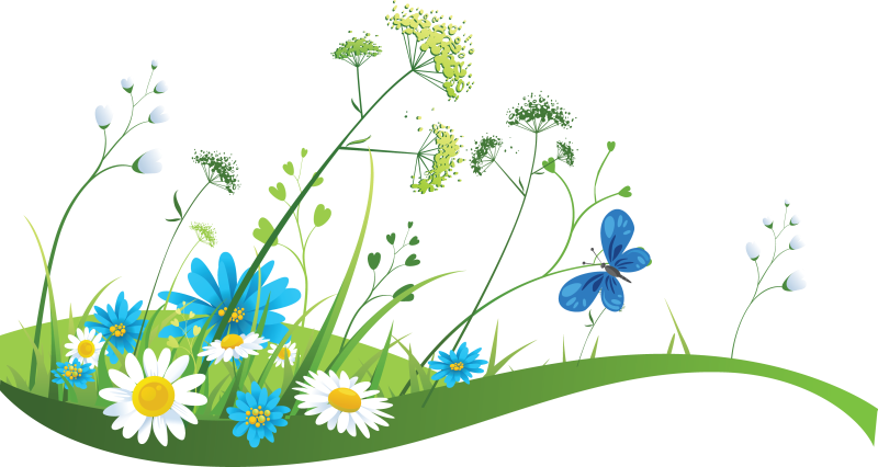 Colorful Meadow Flowersand Butterfly PNG