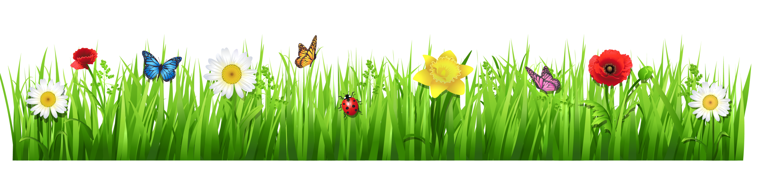 Colorful Meadow Flowersand Insects PNG