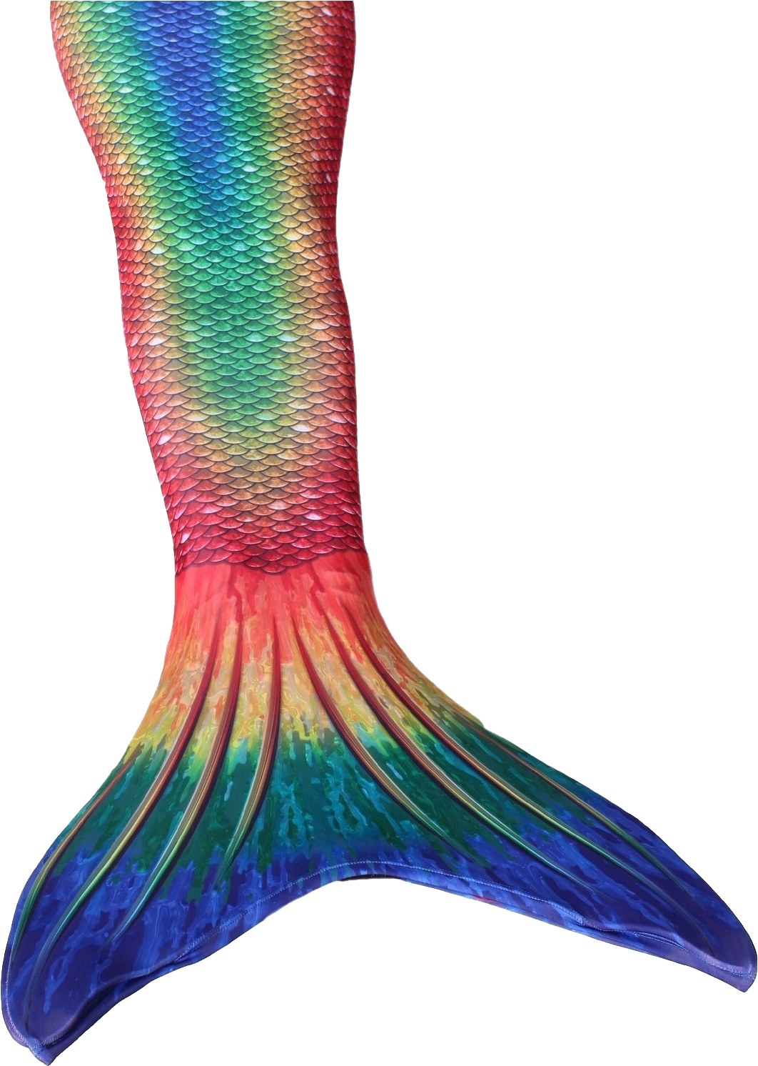 Colorful Mermaid Tail PNG