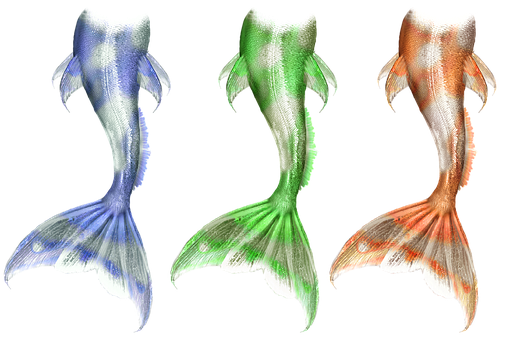 Colorful Mermaid Tails Collection PNG