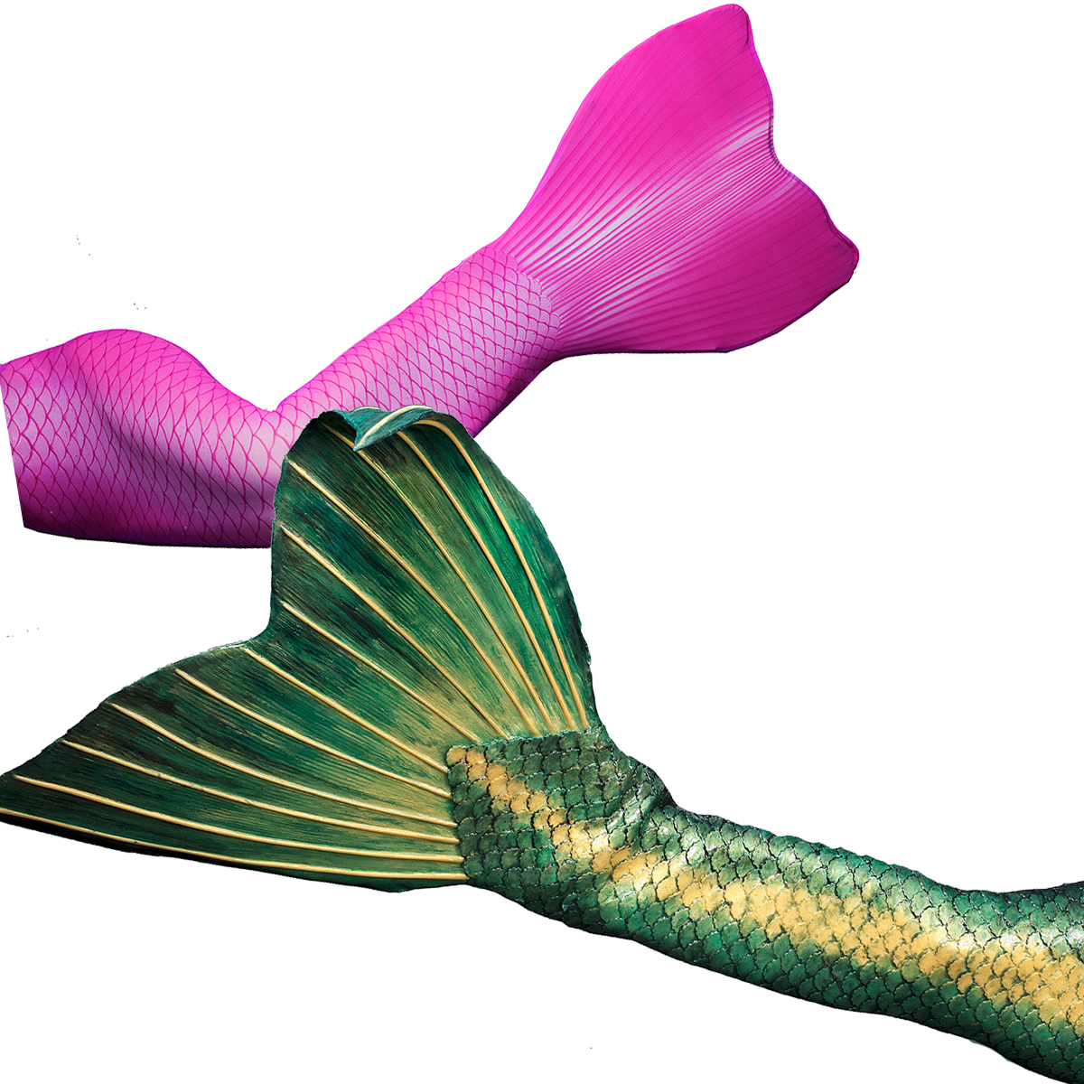 Colorful Mermaid Tails Graphic PNG
