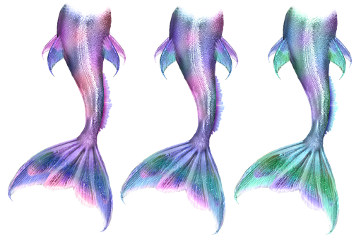 Colorful Mermaid Tails Triptych PNG