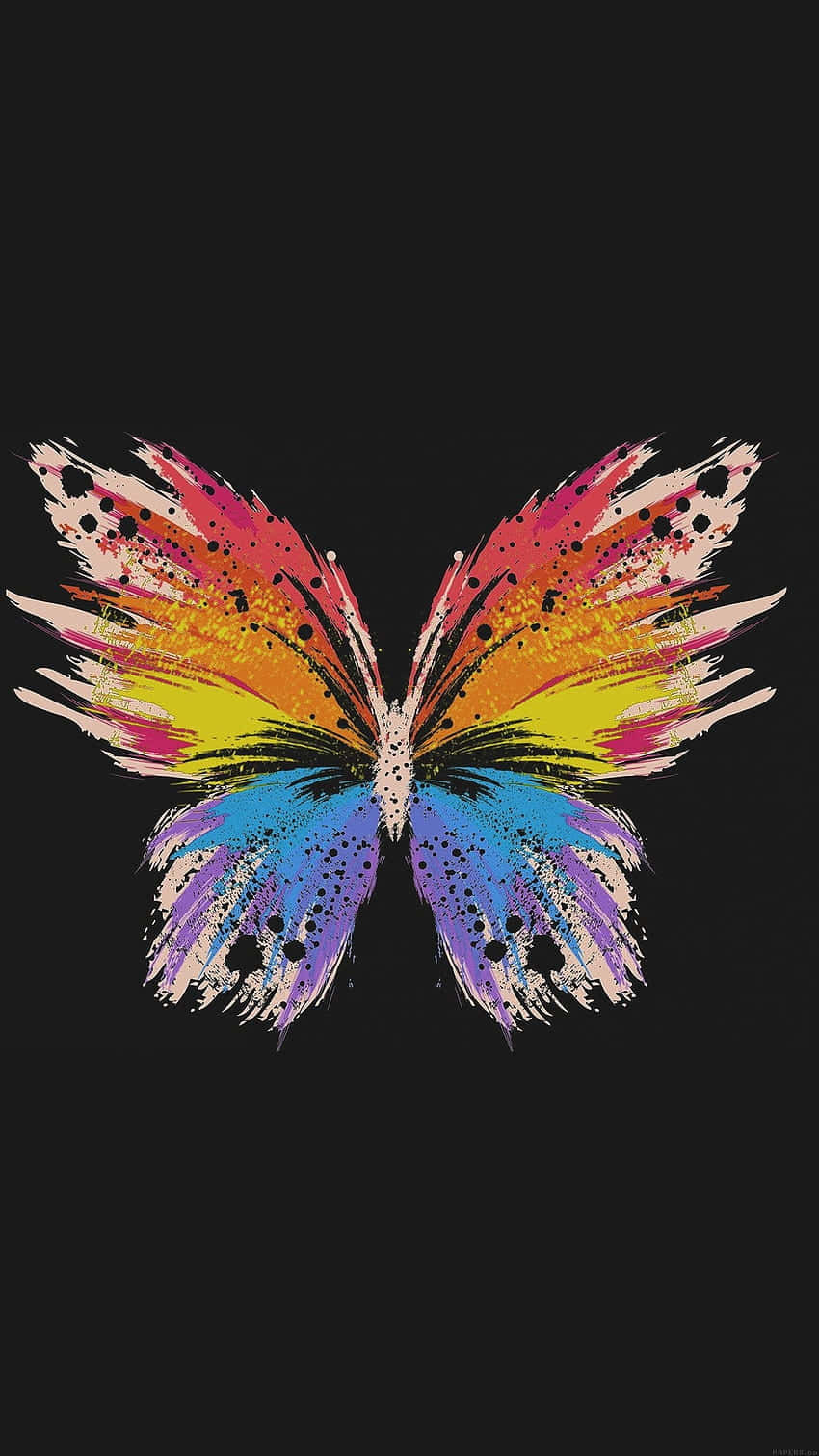 Colorful Moth Artwork Wallpaper