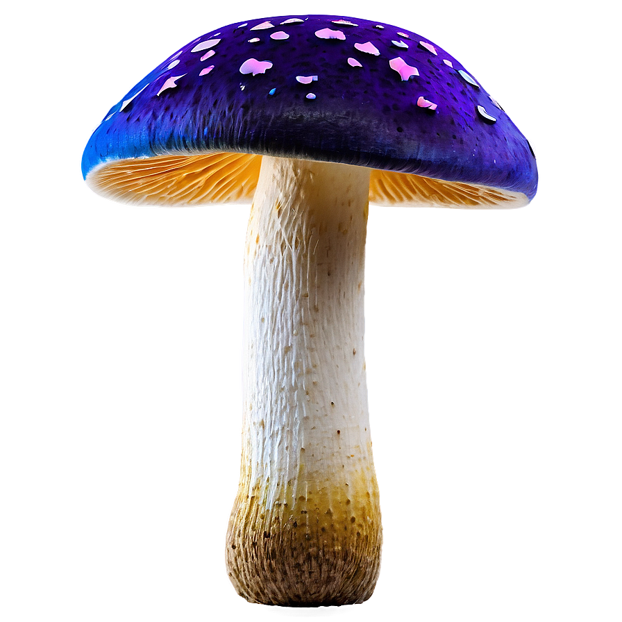 Colorful Mushroom Png 36 PNG