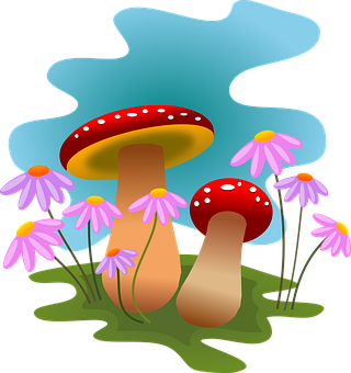 Colorful Mushroomsand Flowers Illustration PNG