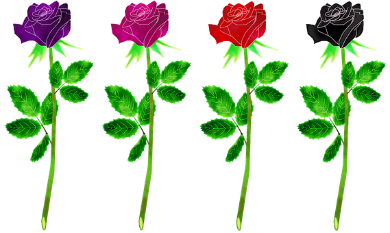 Colorful Neon Roses Vector Illustration PNG
