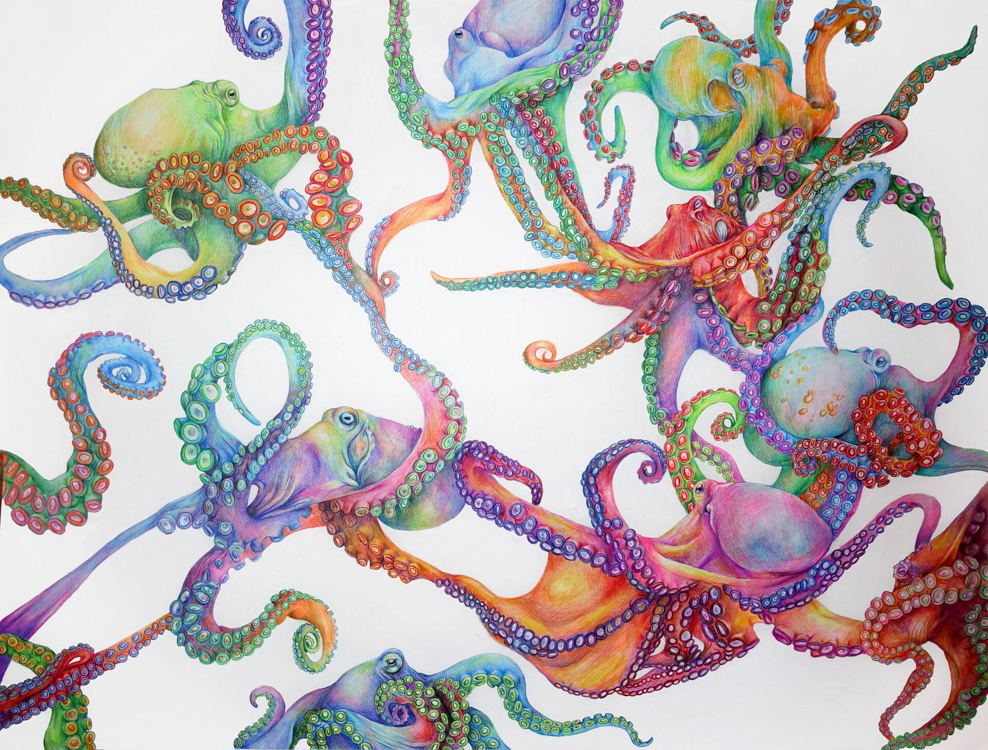 Farverige Blæksprutter Kunst Wallpaper