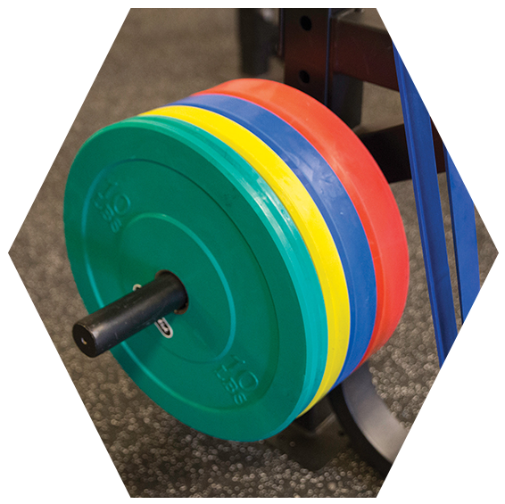 Colorful Olympic Weight Plates PNG