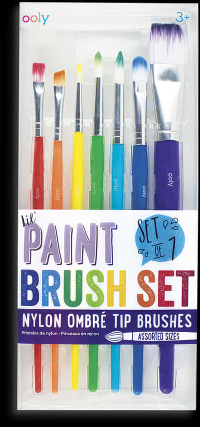 Colorful Ombre Paint Brush Set Packaging PNG