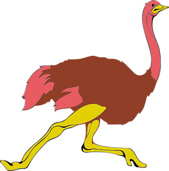 Colorful_ Ostrich_ Cartoon_ Vector PNG
