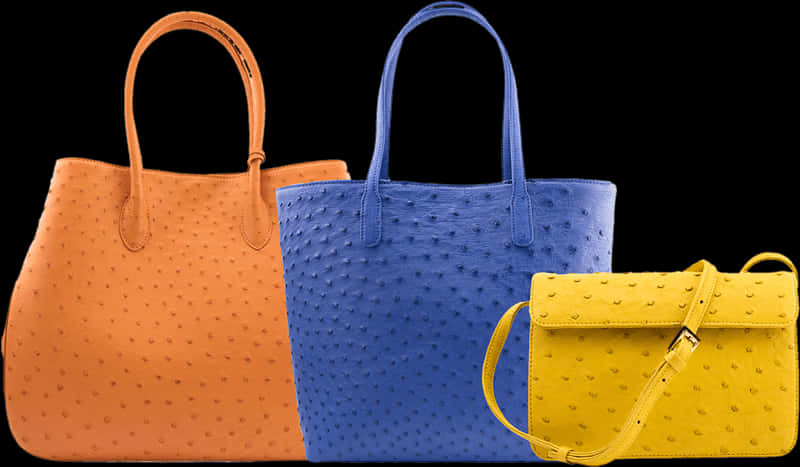 Colorful Ostrich Leather Tote Bags PNG