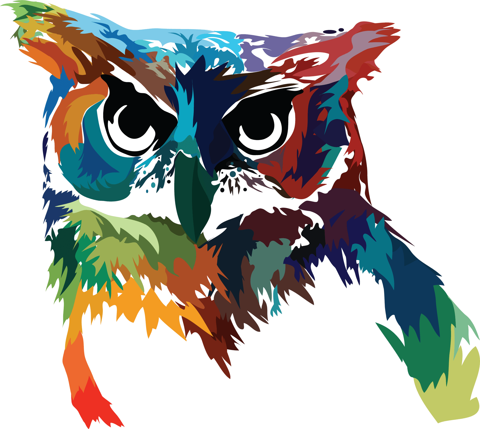Colorful Owl Artwork PNG