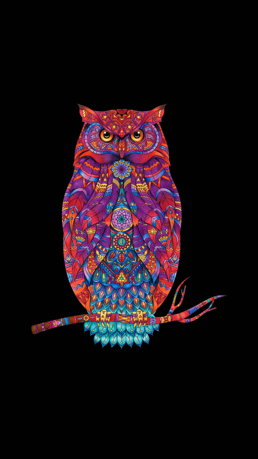 Colorful Owl Hd Tattoo Wallpaper