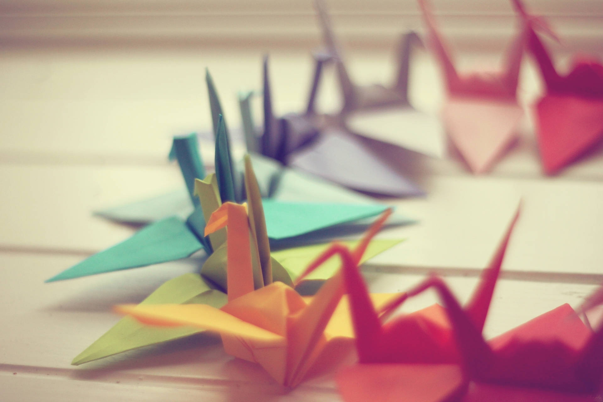 Close-up colorful paper cranes origami photo wallpaper.