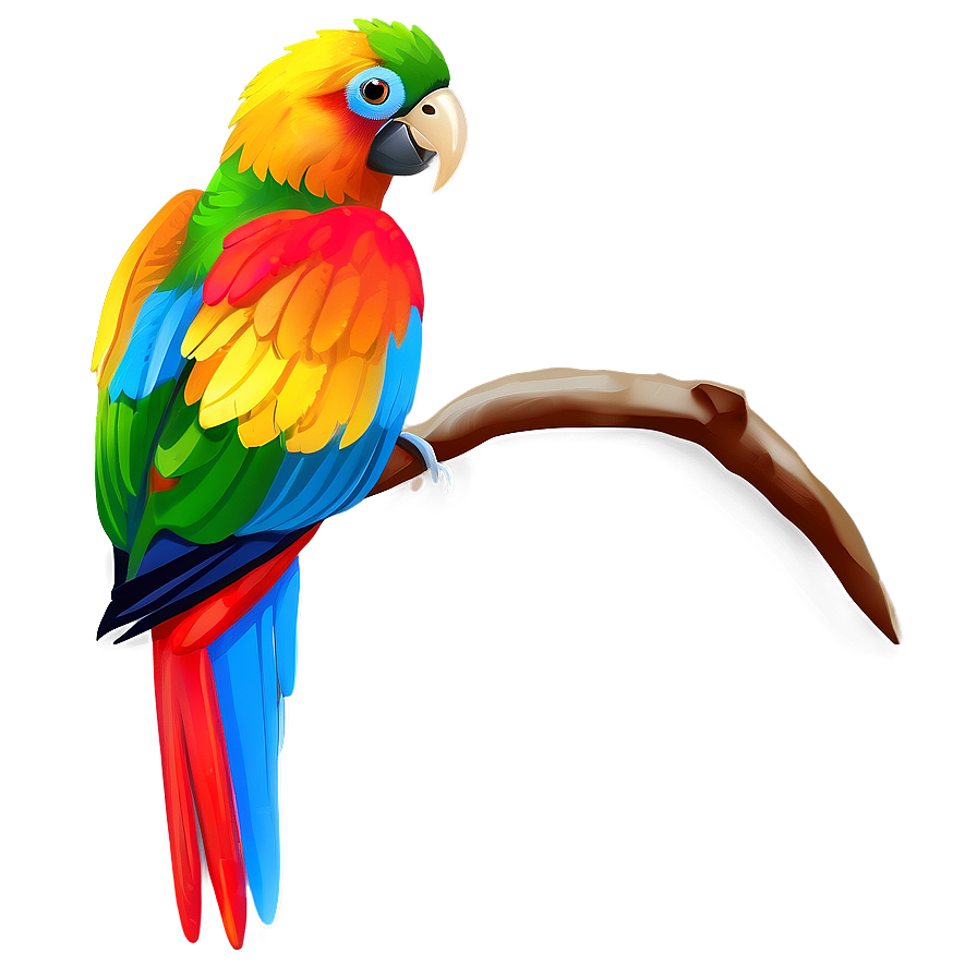 Colorful Parrot Bird Png Pgw PNG