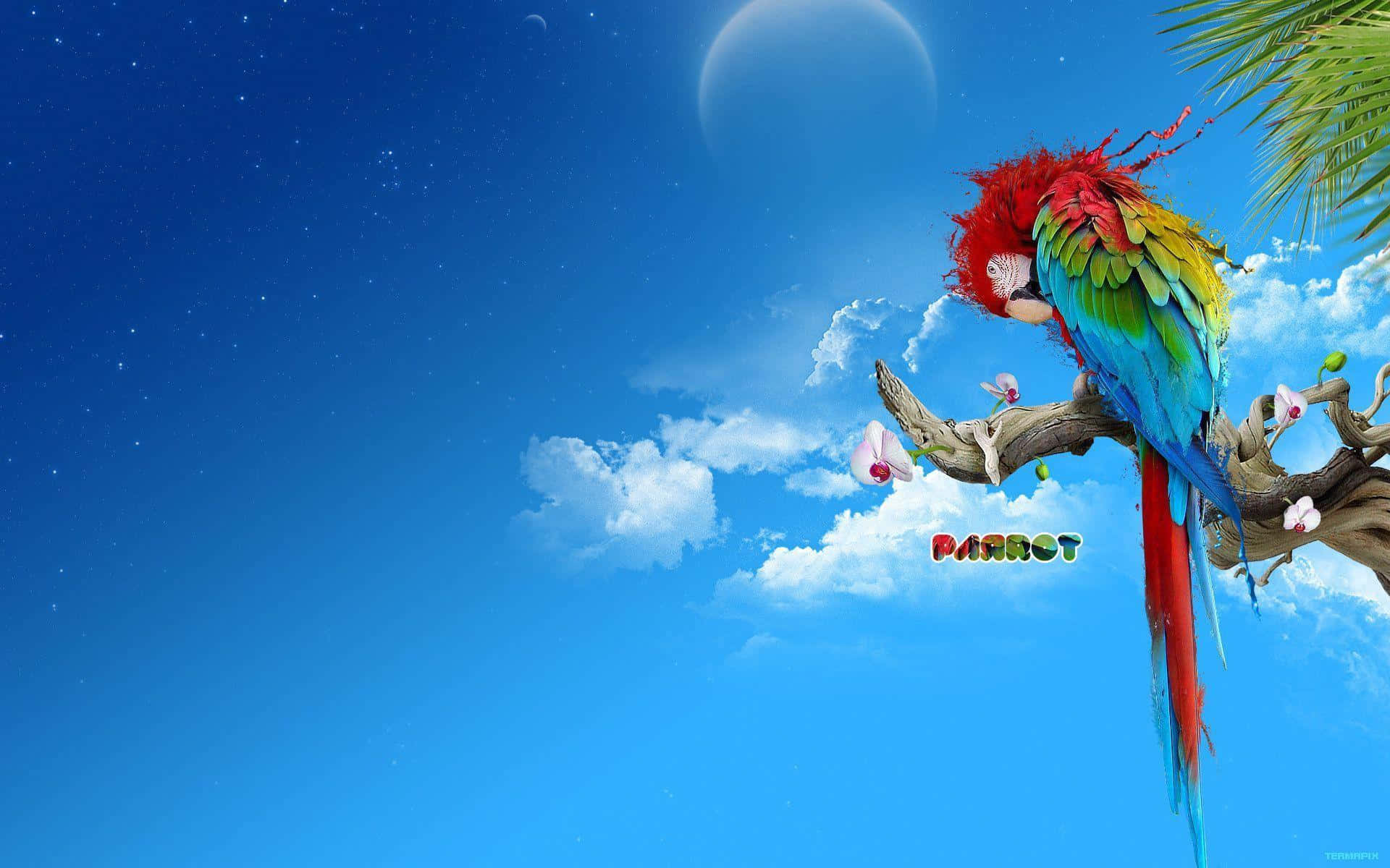 Colorful Parrot Fantasy Artwork Wallpaper