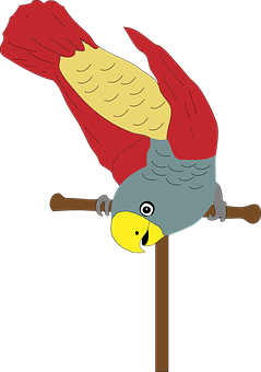 Colorful Parrot Illustration PNG