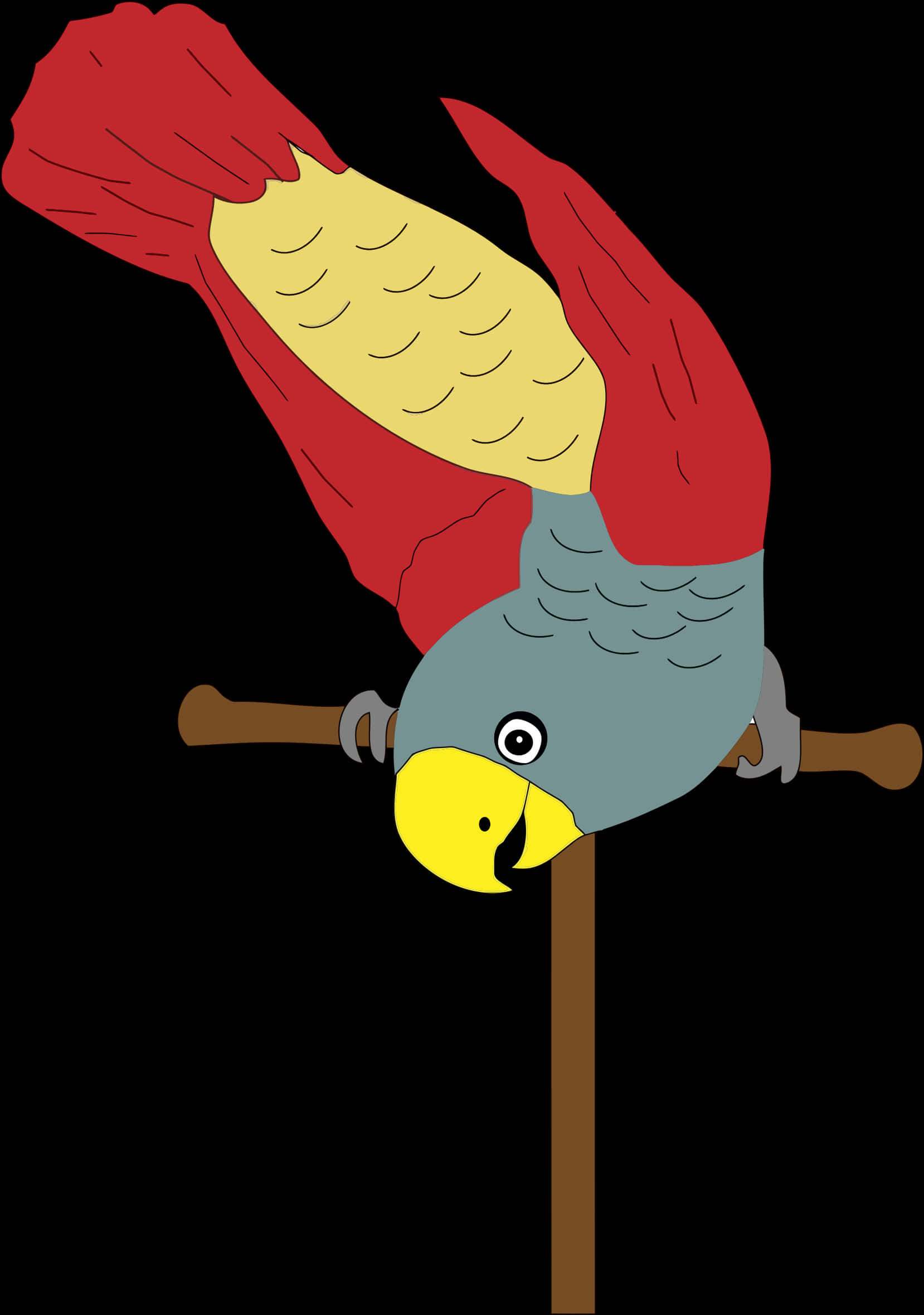 Colorful Parrot Illustration PNG