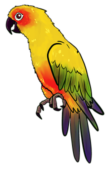 Colorful Parrot Illustration PNG