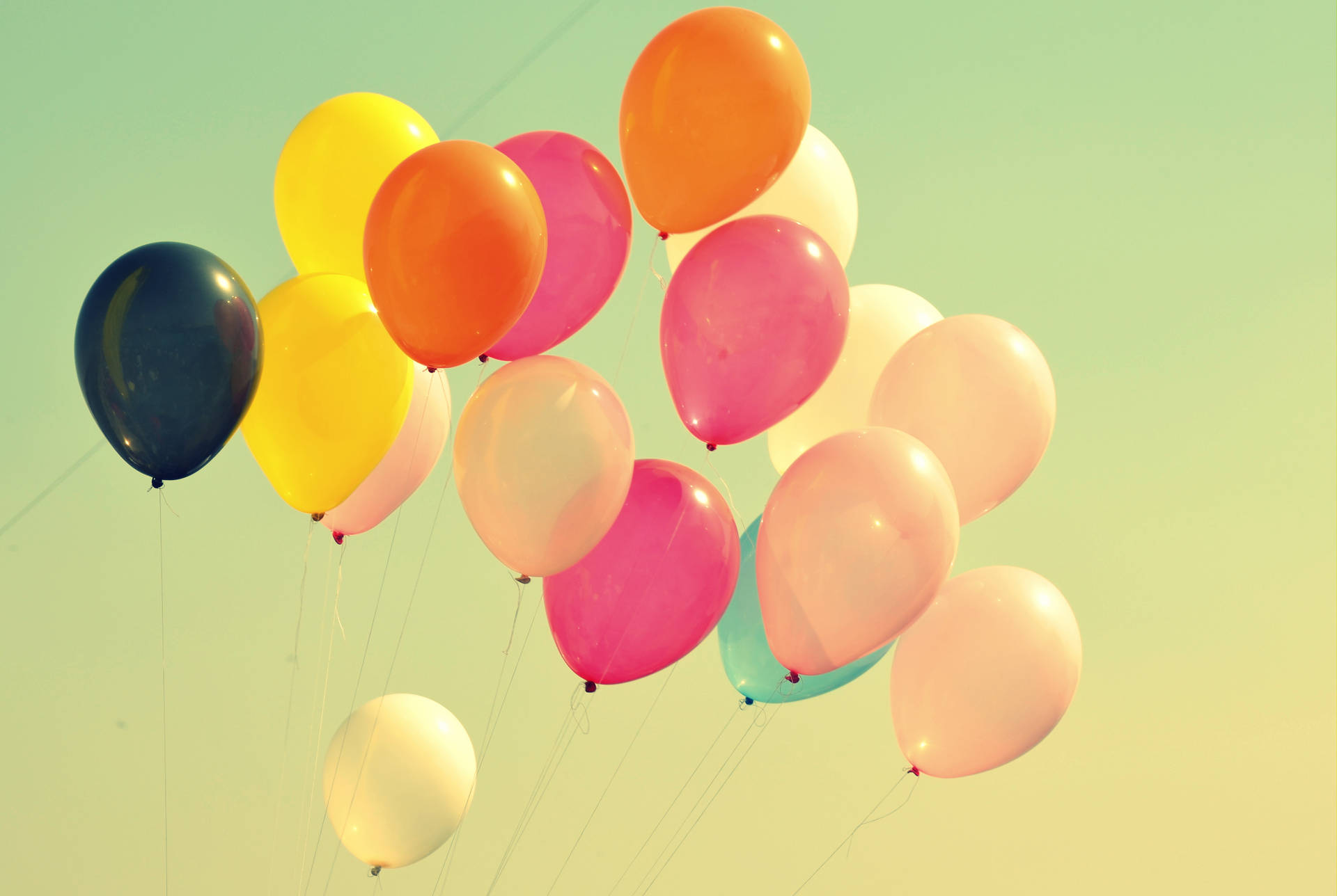 Colorful Party Balloons Wallpaper