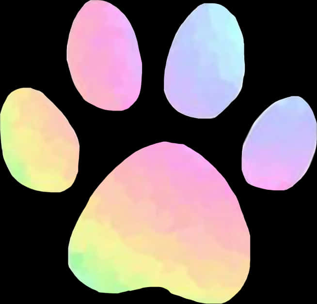 Colorful Paw Print Illustration PNG